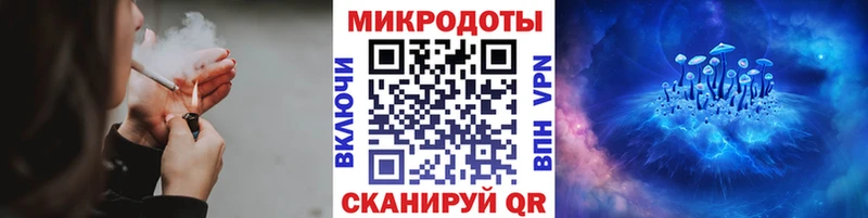 купить наркоту  Тбилисская  Псилоцибиновые грибы ЛСД 